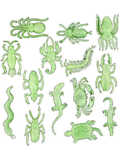 Rhode Island Novelty; Lot 144 Glow In The Dark Halloween Decor Plastic Insects And Animals; Category:Halloween Decorations; Image:1